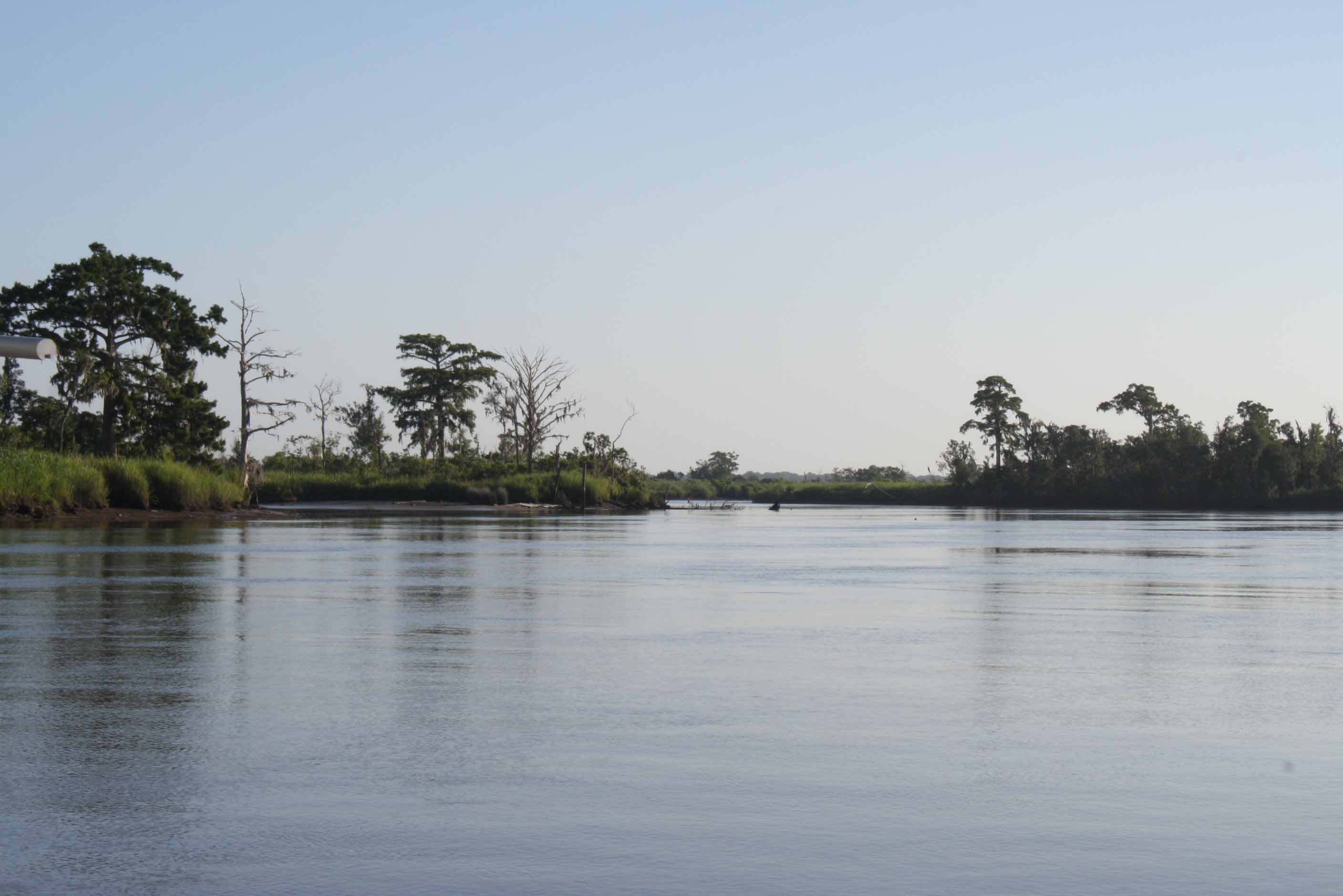 History of the Altamaha